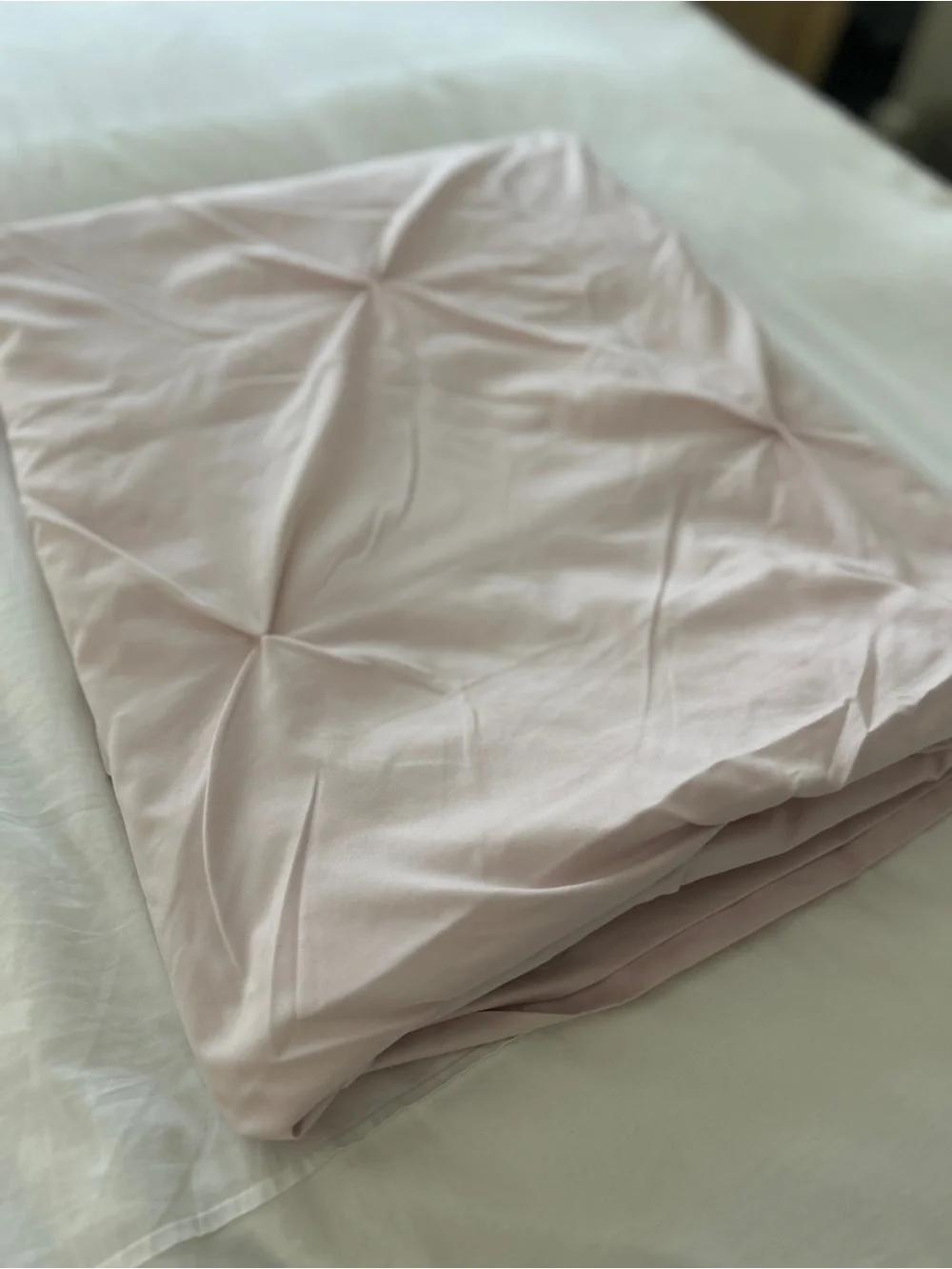 Pottery Barn Teen soft blush